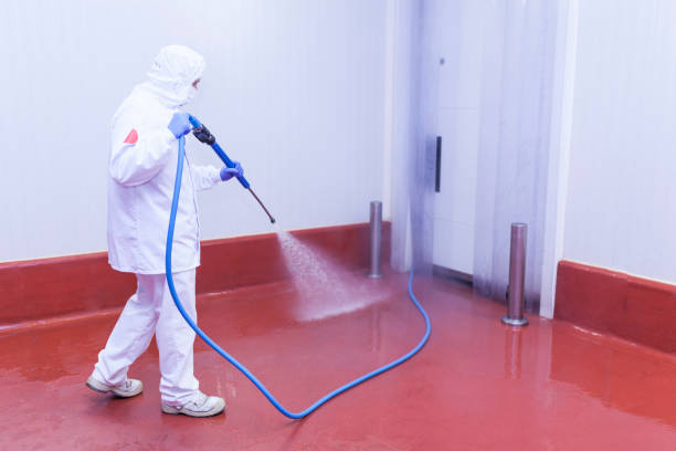 Best Building Exterior Washing  in Ruidoso Downs, NM